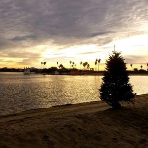 Meet your Posher, Philip